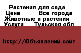 Растения для сада › Цена ­ 200 - Все города Животные и растения » Услуги   . Тульская обл.